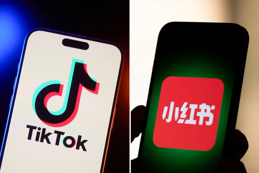 TikTok Refugee